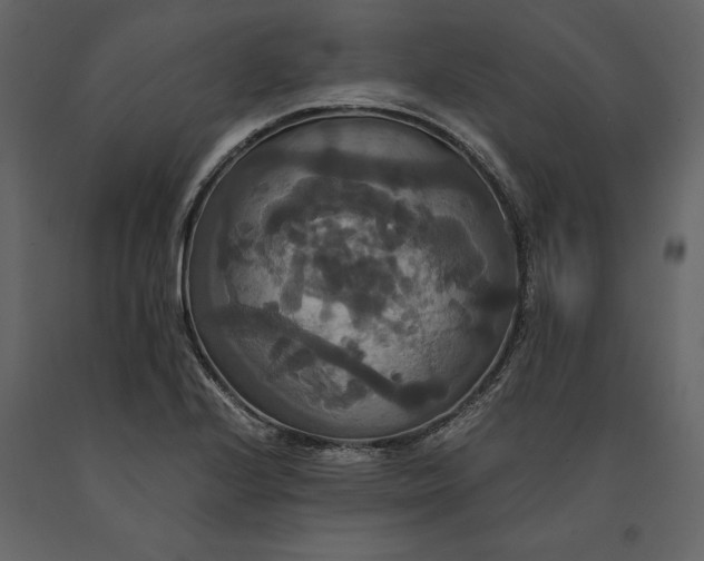 X0000091081224200708271229