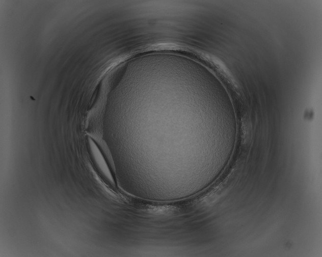 X0000091081225200708271229