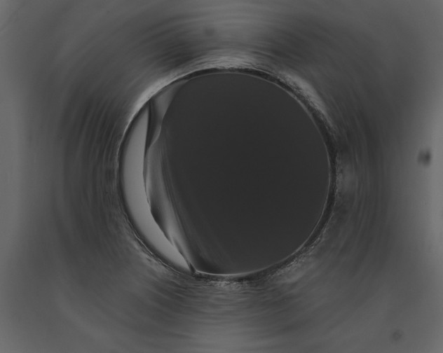 X0000091081226200708271229