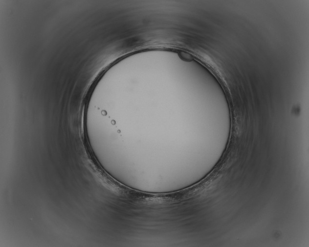 X0000091081227200708271229