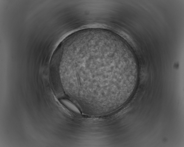 X0000091081228200708271229