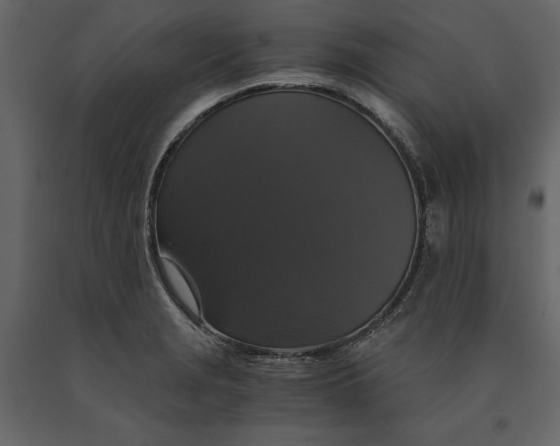 X0000091081229200708271229