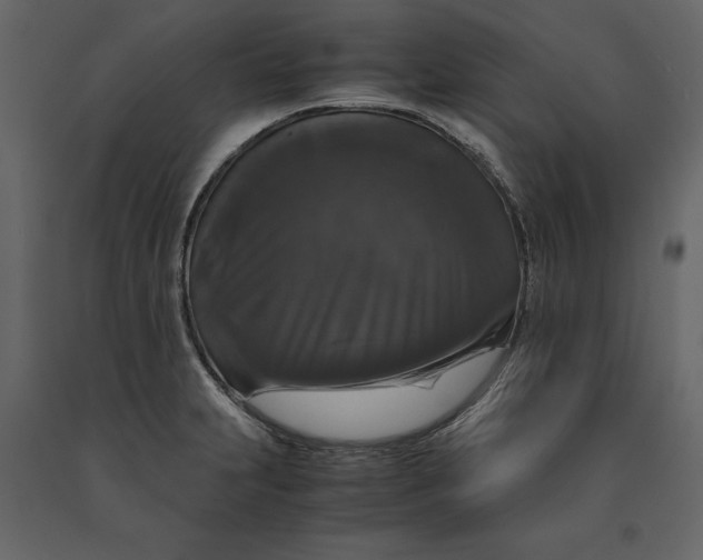 X0000091081231200708271229