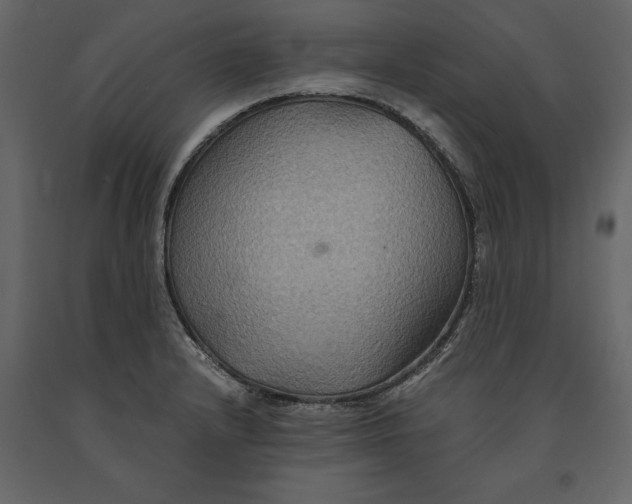 X0000091081232200708271229