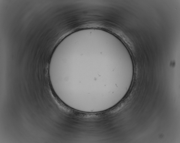 X0000091081233200708271229