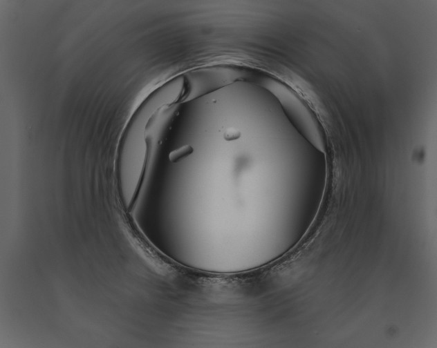 X0000091081234200708271229