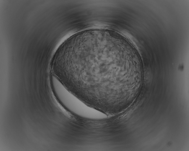 X0000091081235200708271230