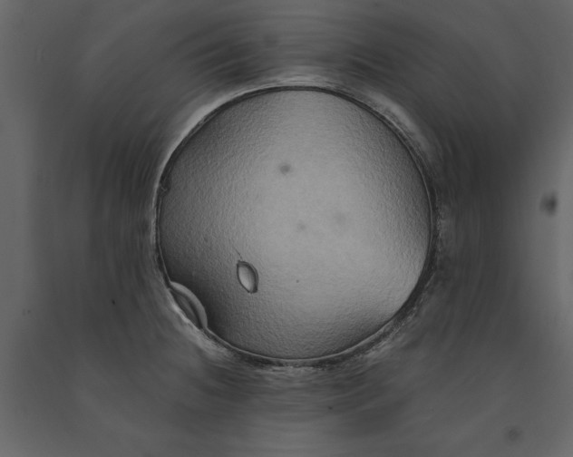 X0000091081236200708271230