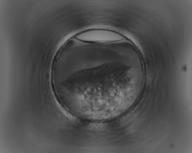 X0000091081237200708271230