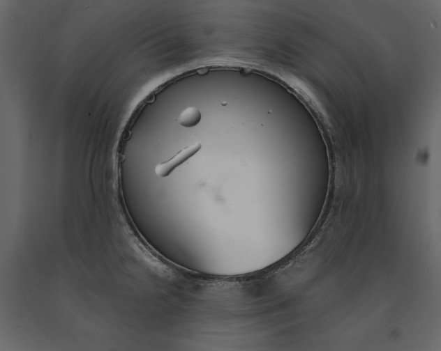 X0000091081238200708271230