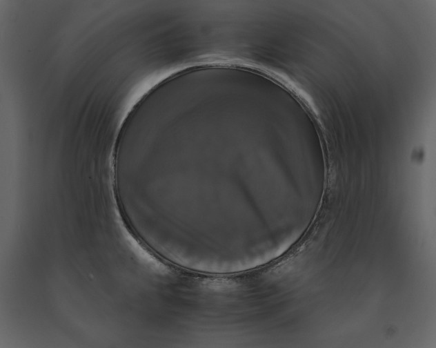 X0000091081239200708271230