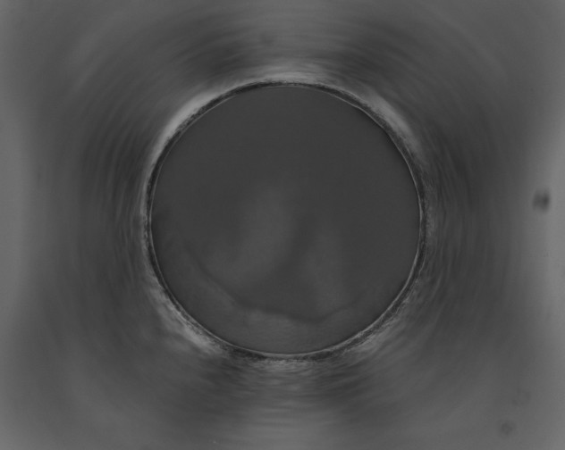 X0000091081240200708271230