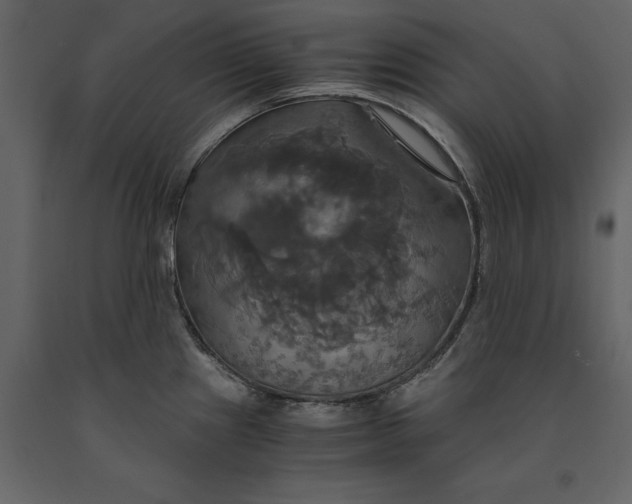 X0000091081241200708271230