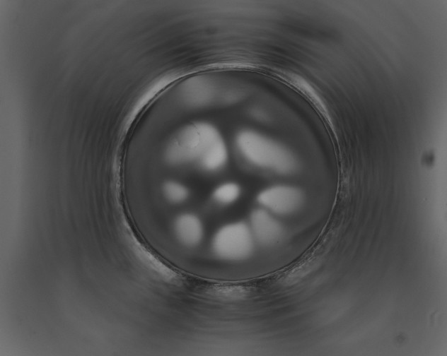 X0000091081243200708271230