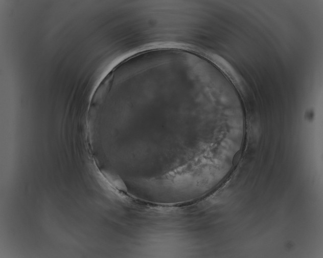 X0000091081244200708271230