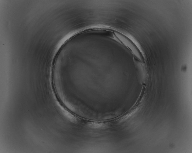 X0000091081245200708271230