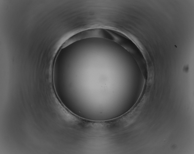 X0000091081246200708271230