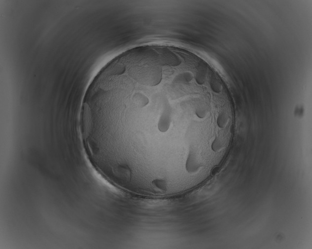 X0000091081247200708271230