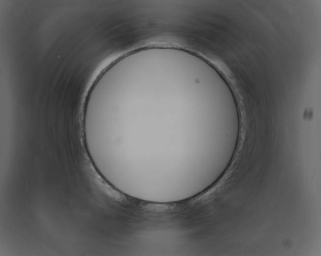 X0000091081248200708271230