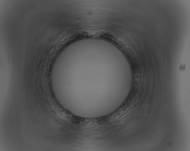 X0000091081249200708271229