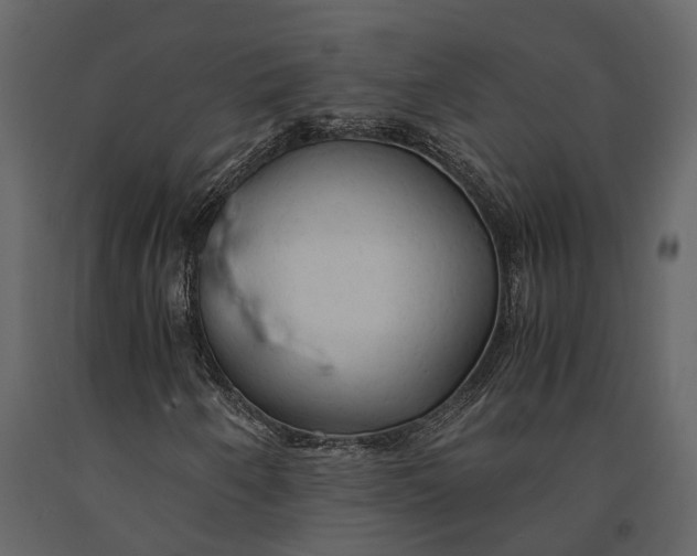 X0000091081250200708271229