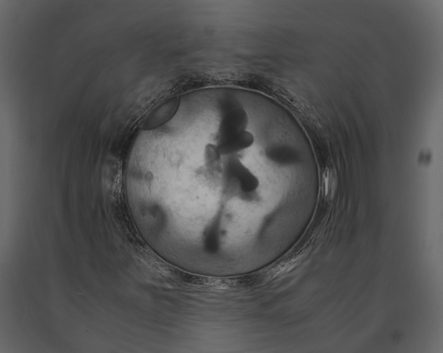 X0000091081251200708271229