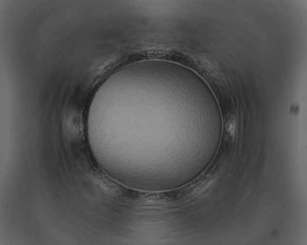 X0000091081252200708271229