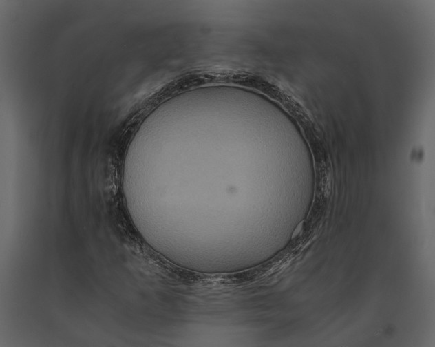 X0000091081253200708271229