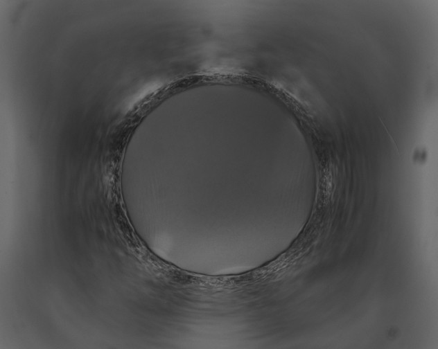 X0000091081254200708271229