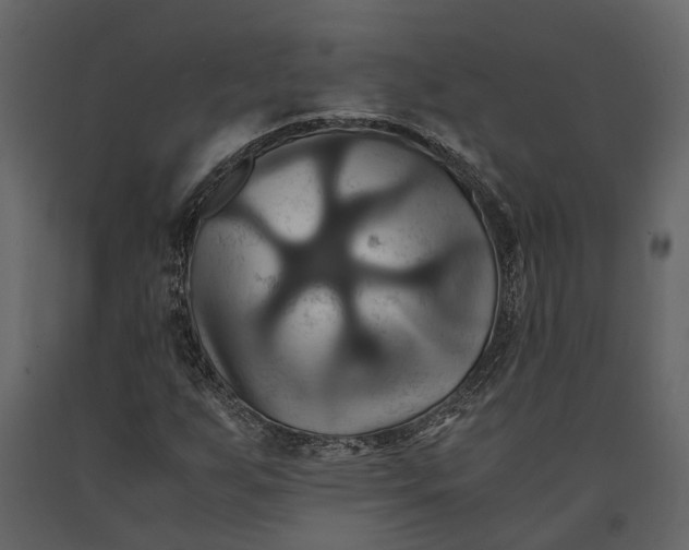 X0000091081255200708271229