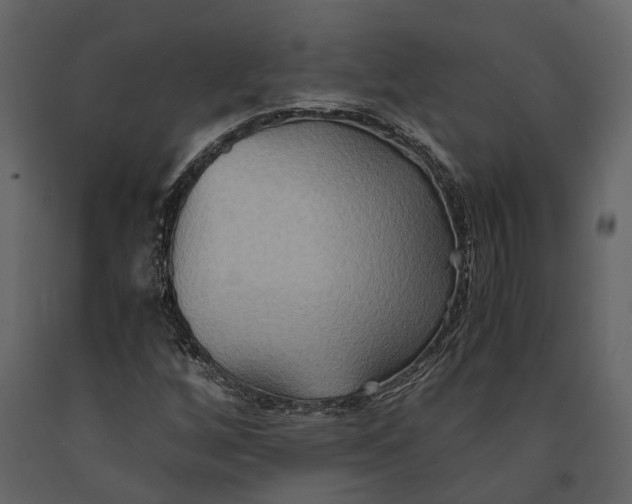 X0000091081256200708271229