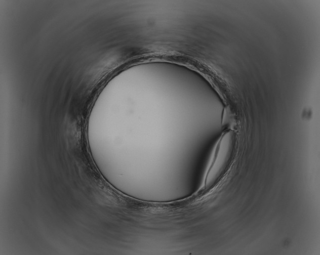 X0000091081257200708271229