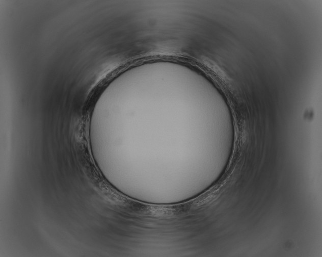 X0000091081258200708271229