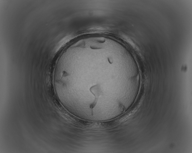 X0000091081259200708271229