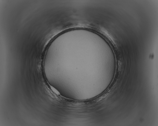 X0000091081260200708271229