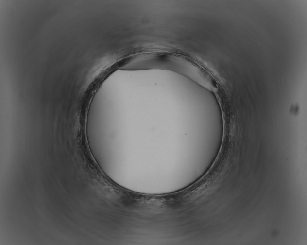 X0000091081261200708271229