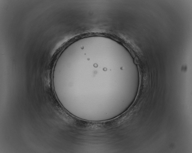 X0000091081262200708271229