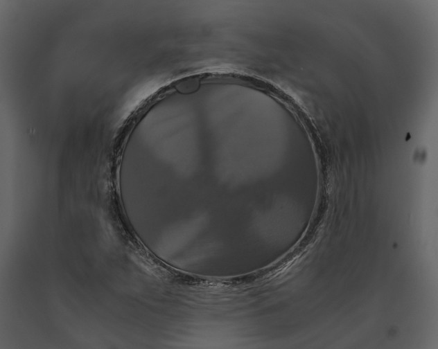 X0000091081263200708271229