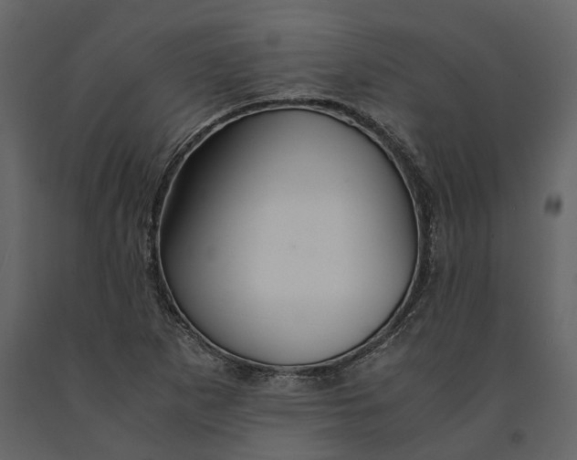 X0000091081265200708271229