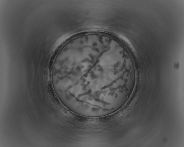 X0000091081267200708271229