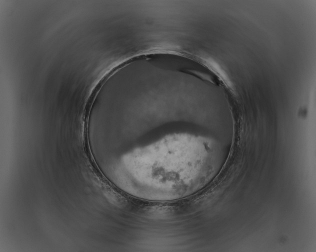 X0000091081268200708271229