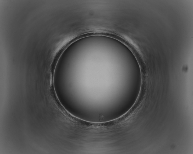 X0000091081269200708271229