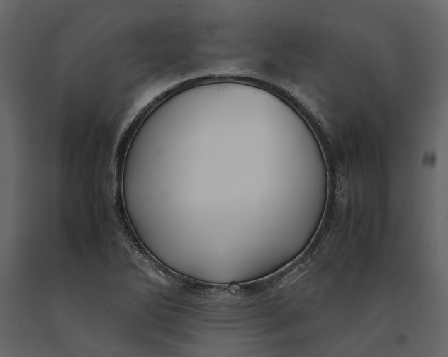 X0000091081270200708271229