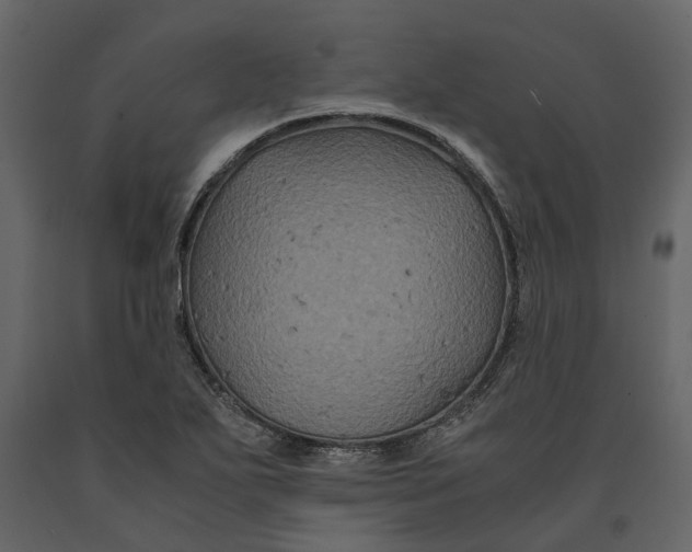 X0000091081271200708271229