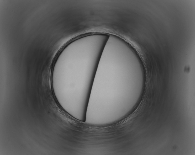 X0000091081272200708271229