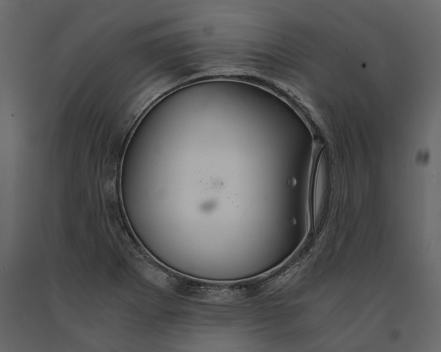 X0000091081273200708271229