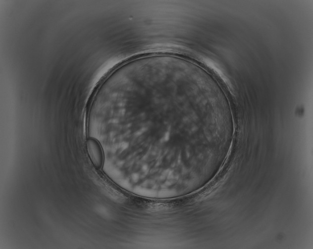 X0000091081275200708271229