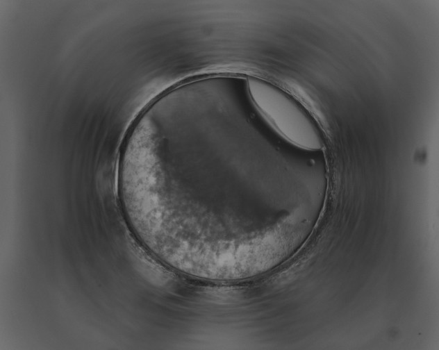 X0000091081276200708271229