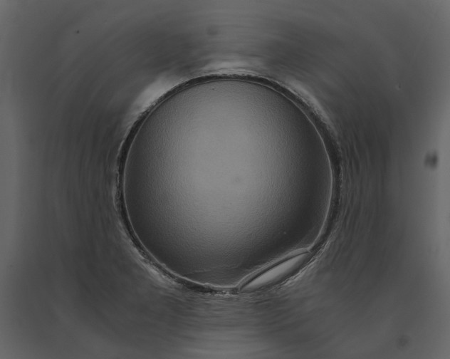 X0000091081277200708271229