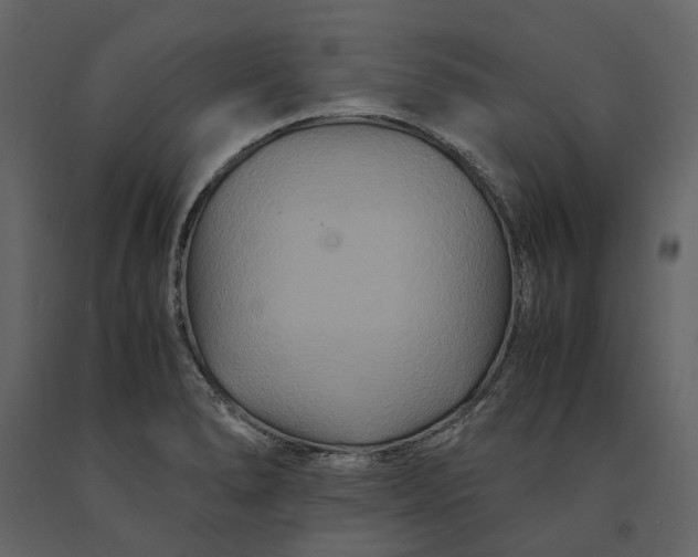 X0000091081278200708271229